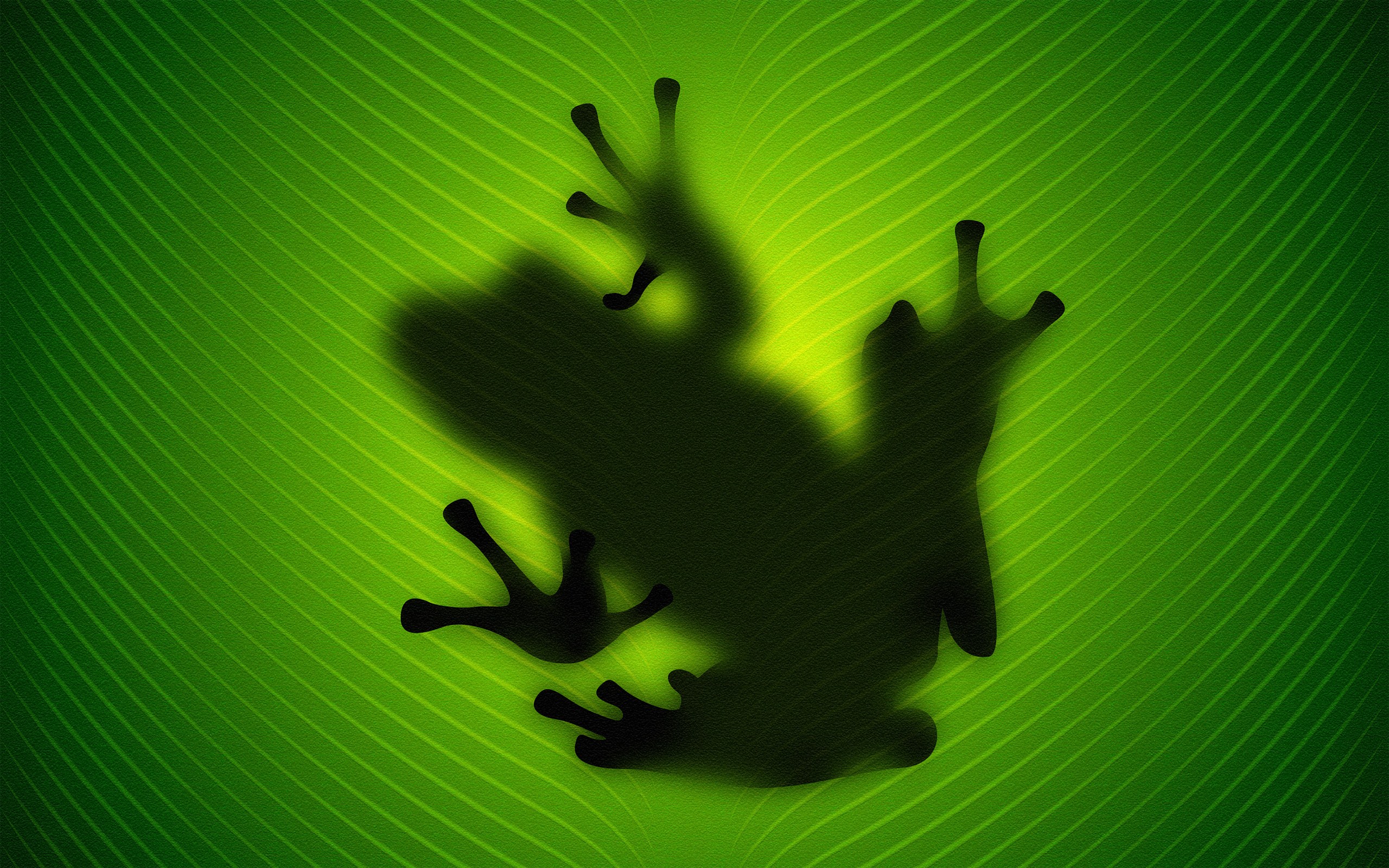 frog green wallpaper