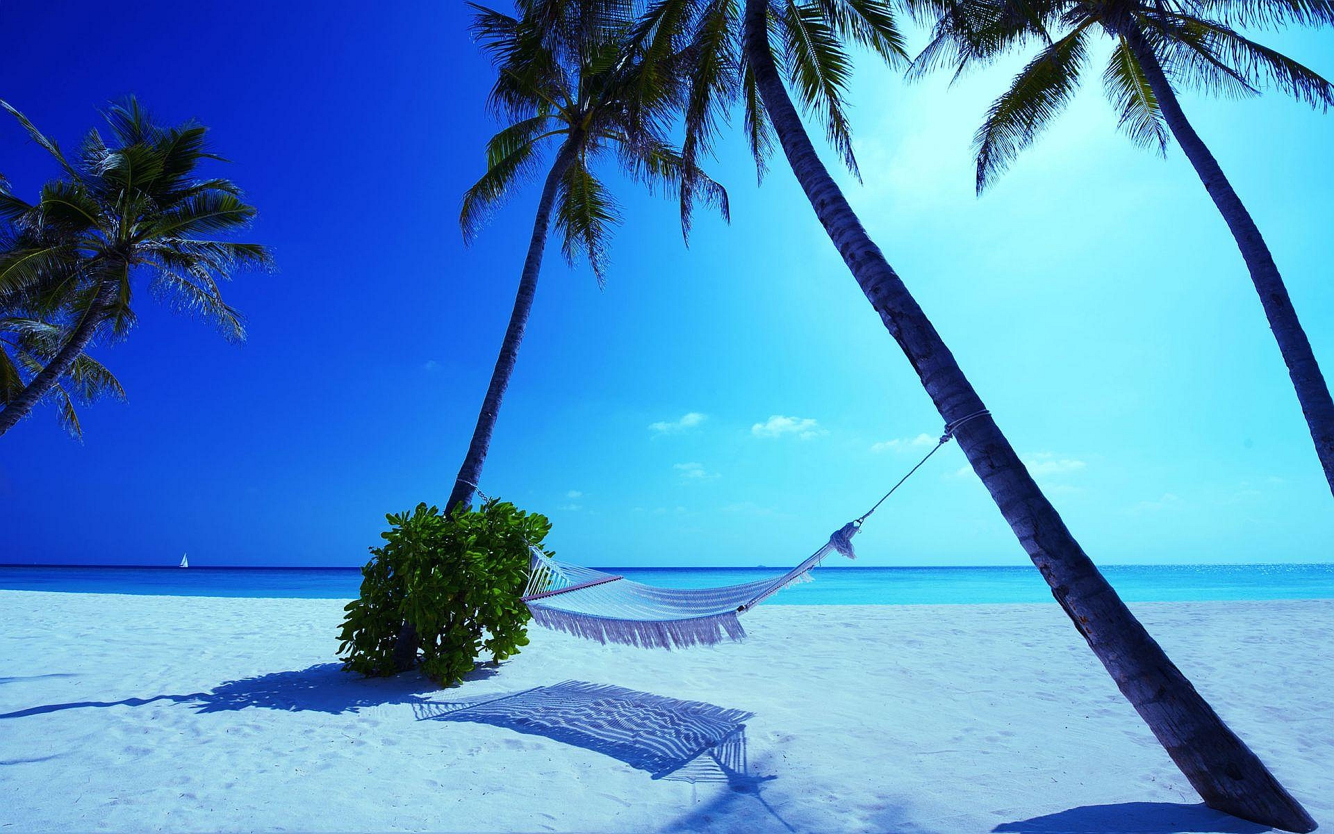 hammock maldives beach nature