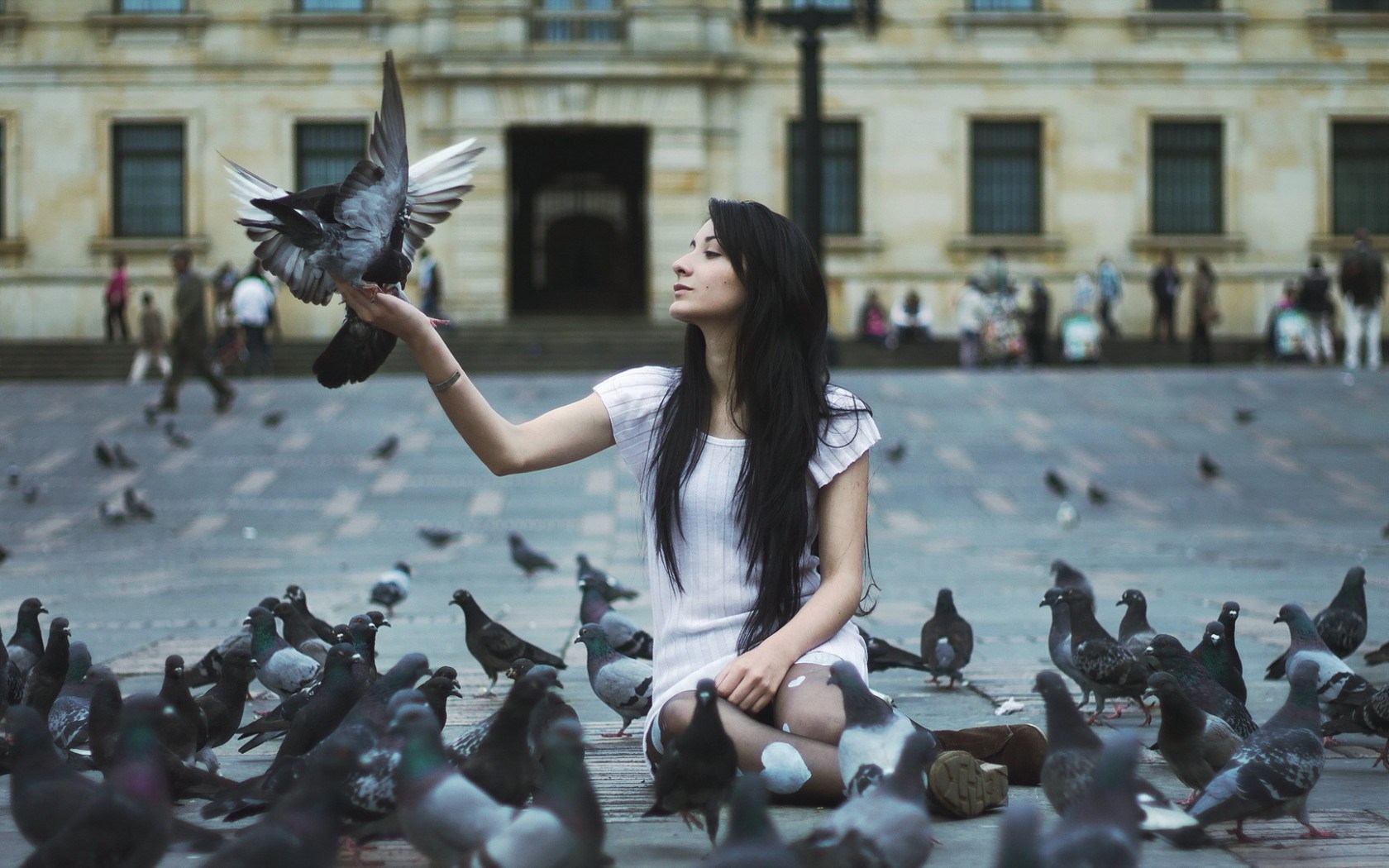 pigeons girl