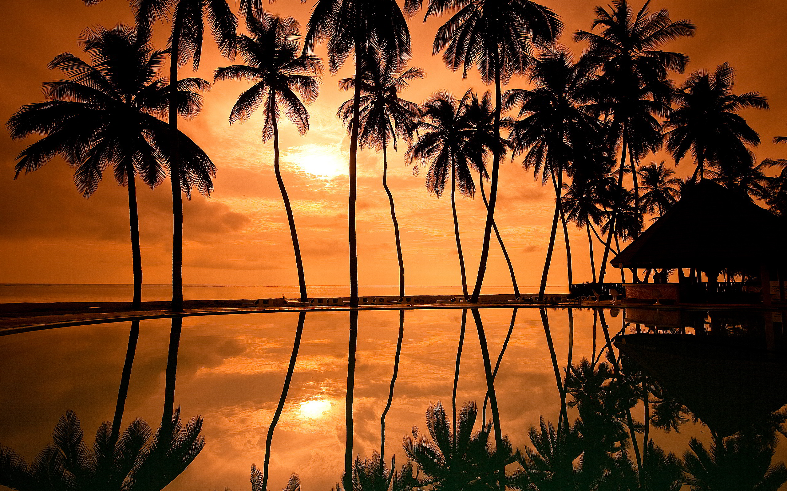 sunset photos hawaii beach