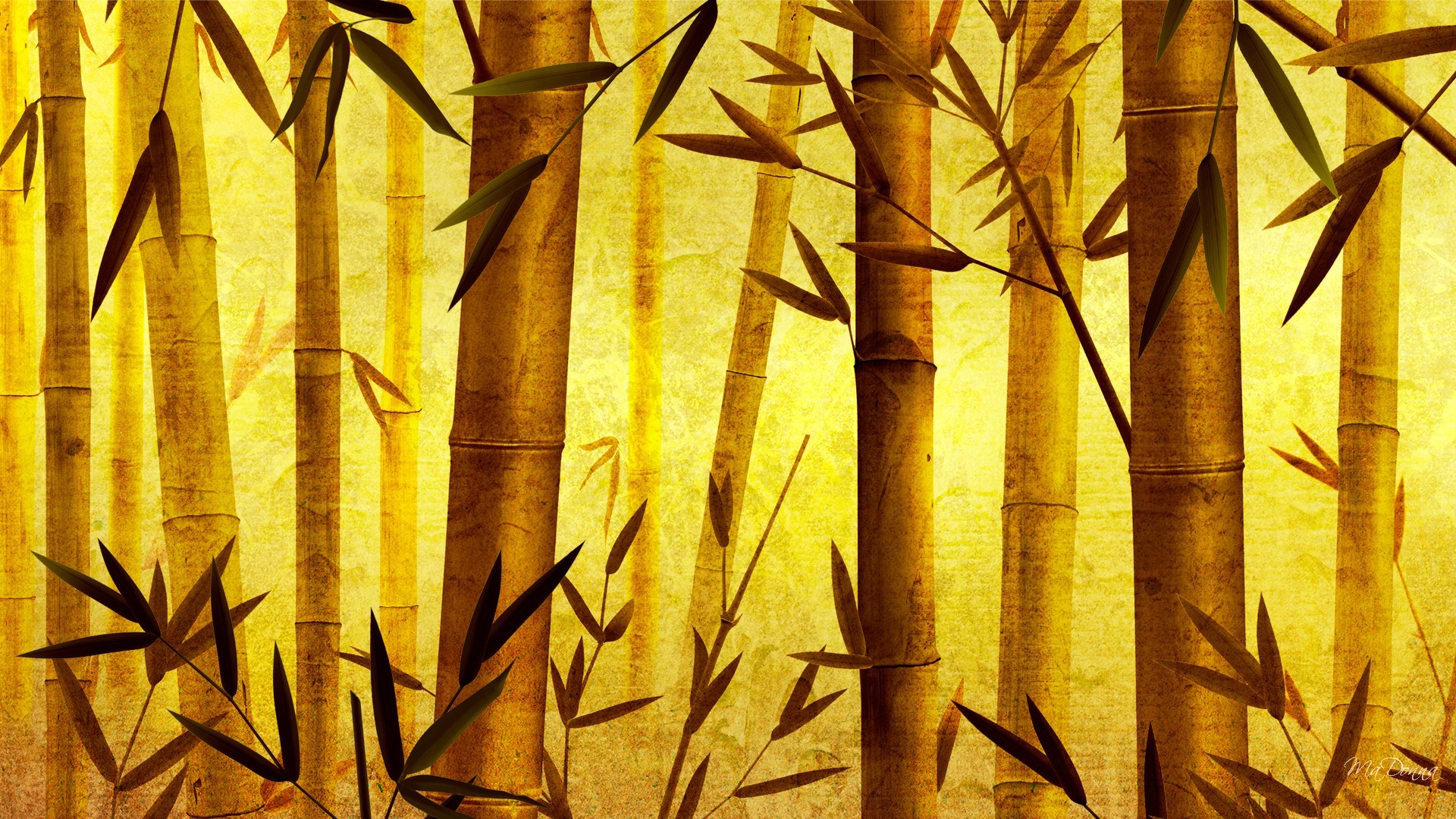 bamboo wallpaper background