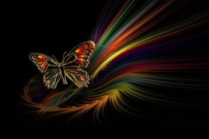 butterfly free download
