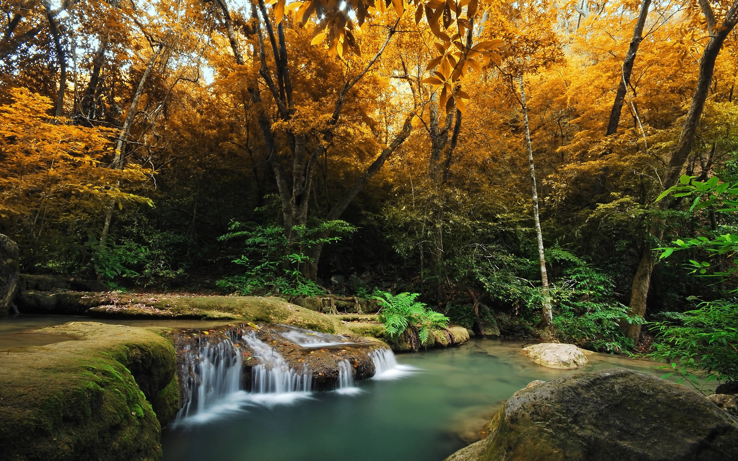 forest autumn waterfall