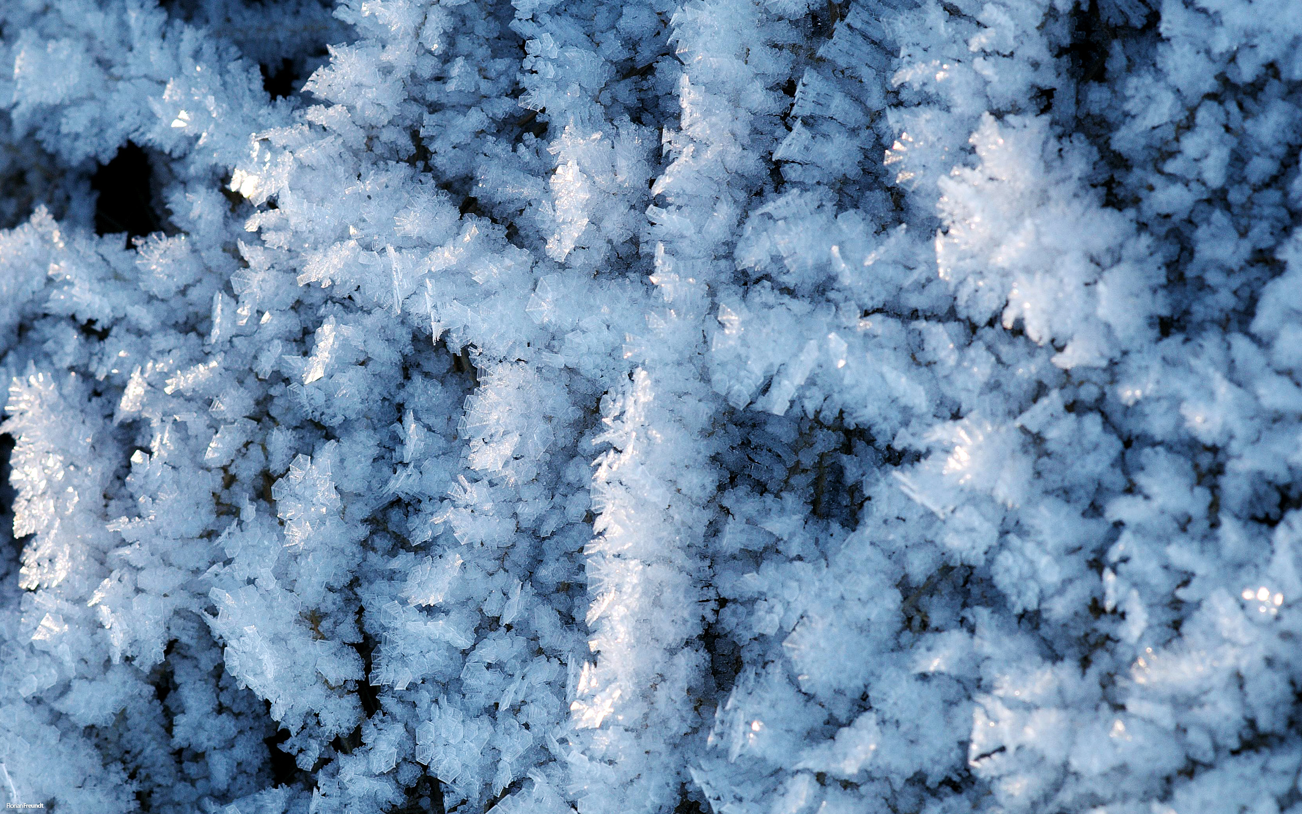 frosty wallpaper snow