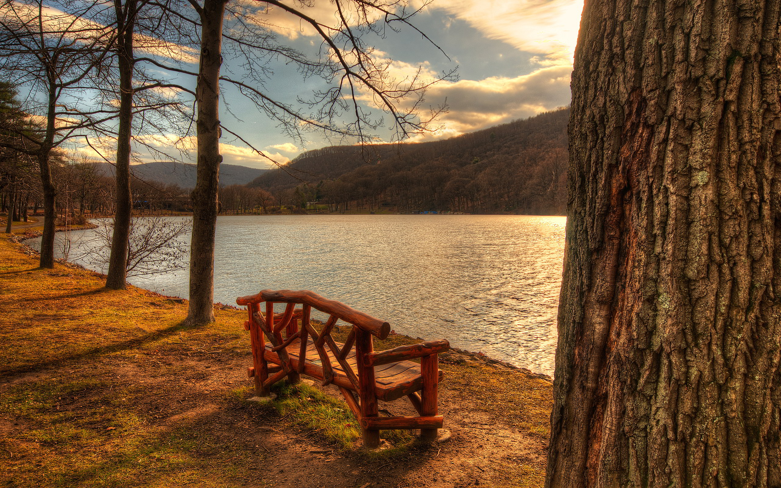 lake backgrounds park bench