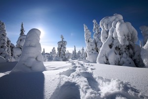 landscapes hd wallpapers winter