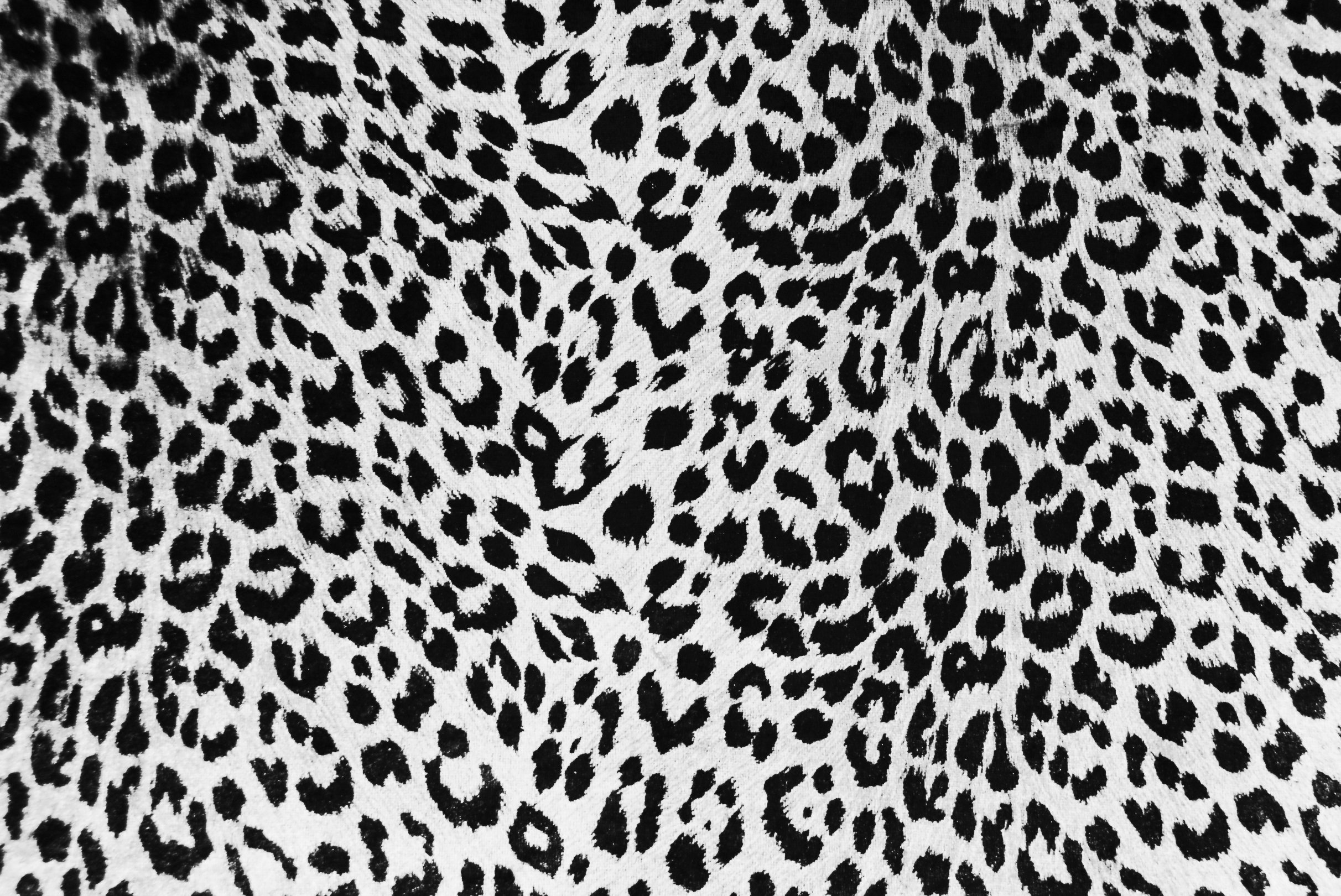 leopard print wallpaper hd