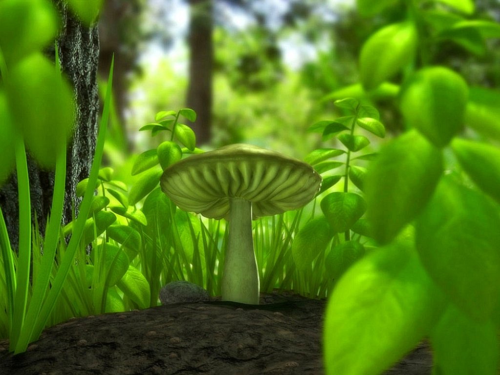 mushroom wallpaper green