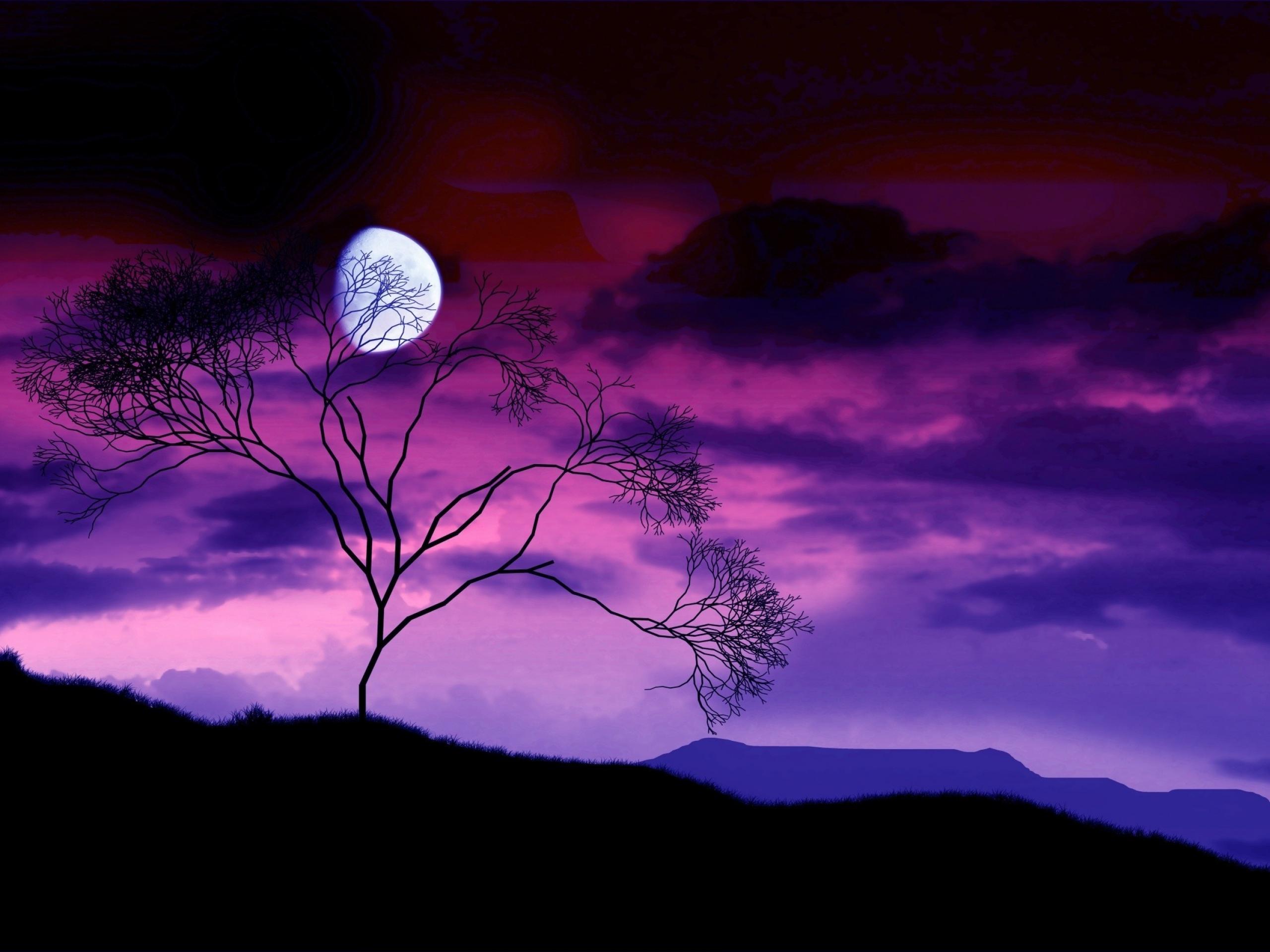 night sky wallpaper purple