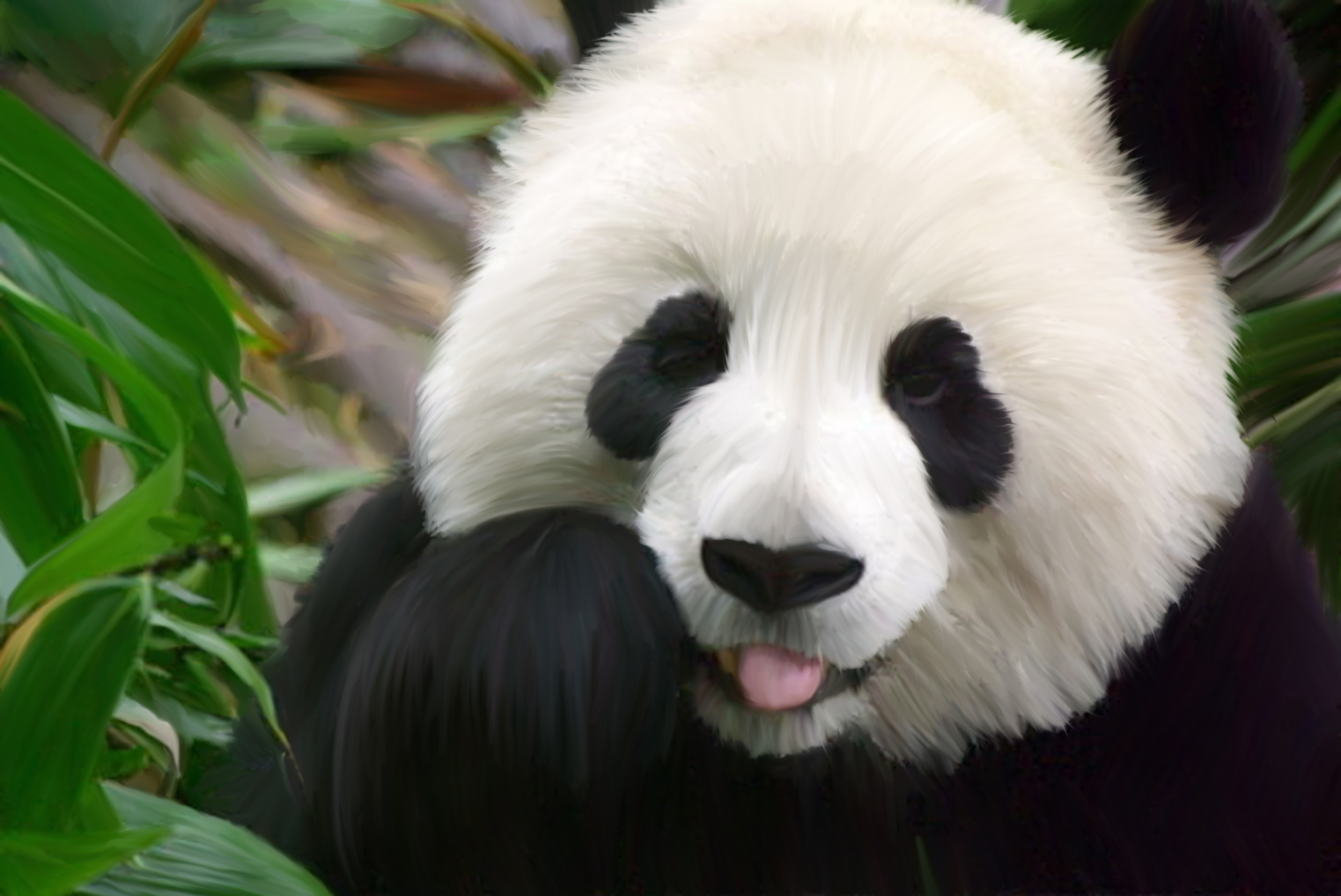 panda desktop wallpaper