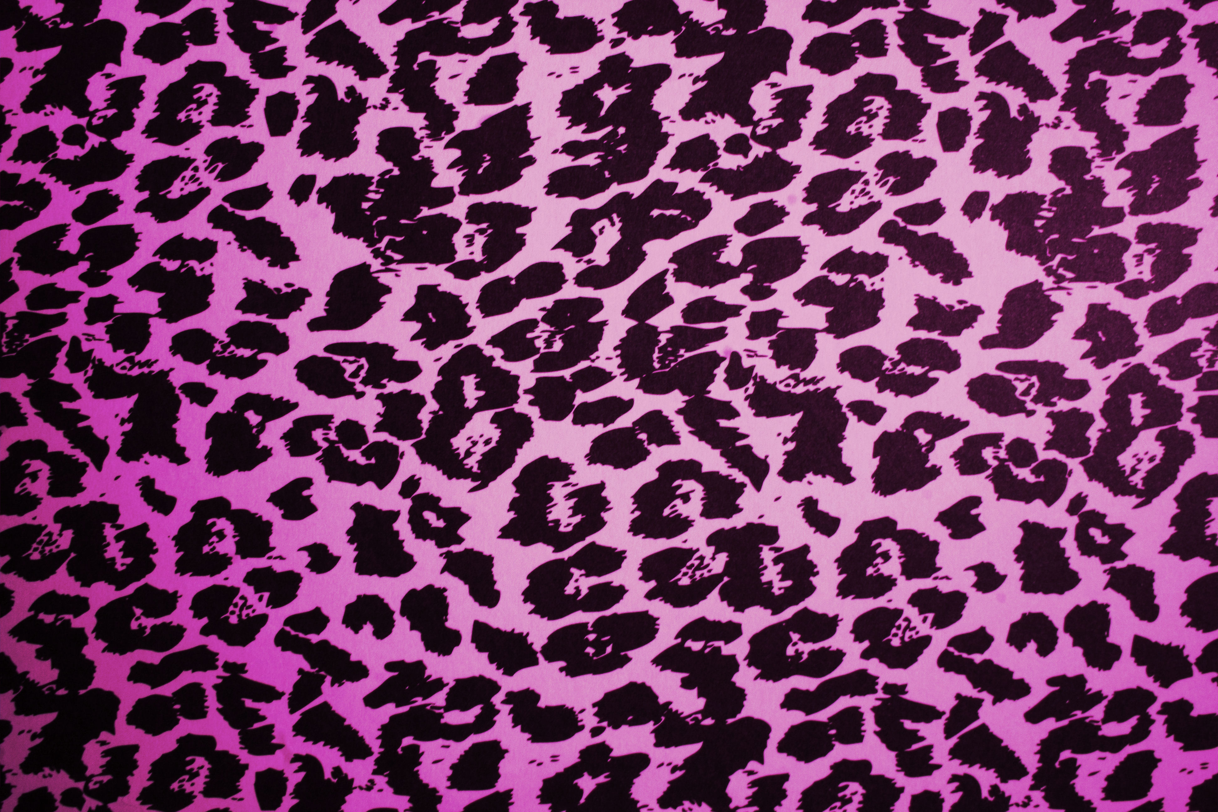pink leopard wallpaper