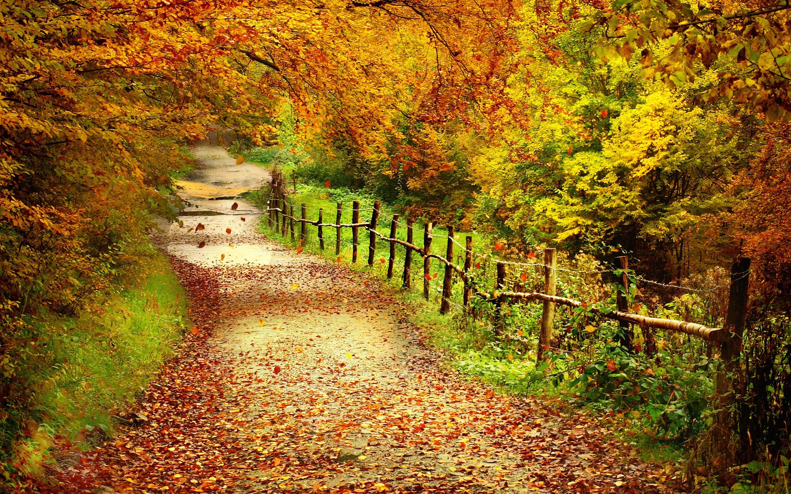 scenery fall wallpaper