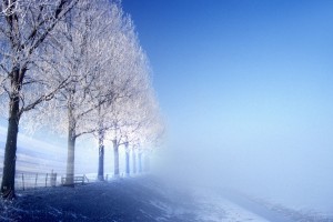 scenery winter background