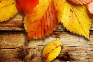 wallpapers hd autumn