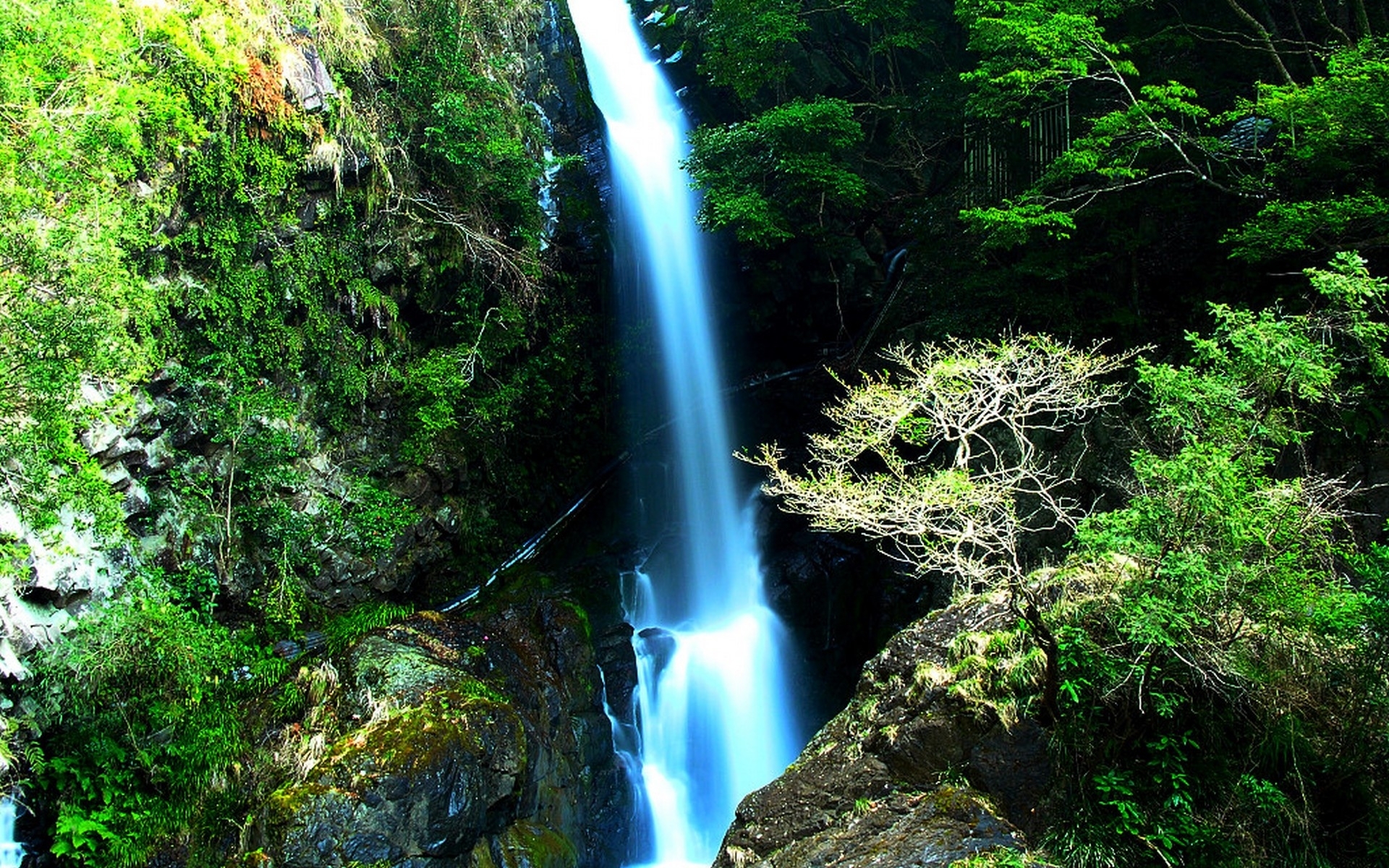waterfall wallpapers android