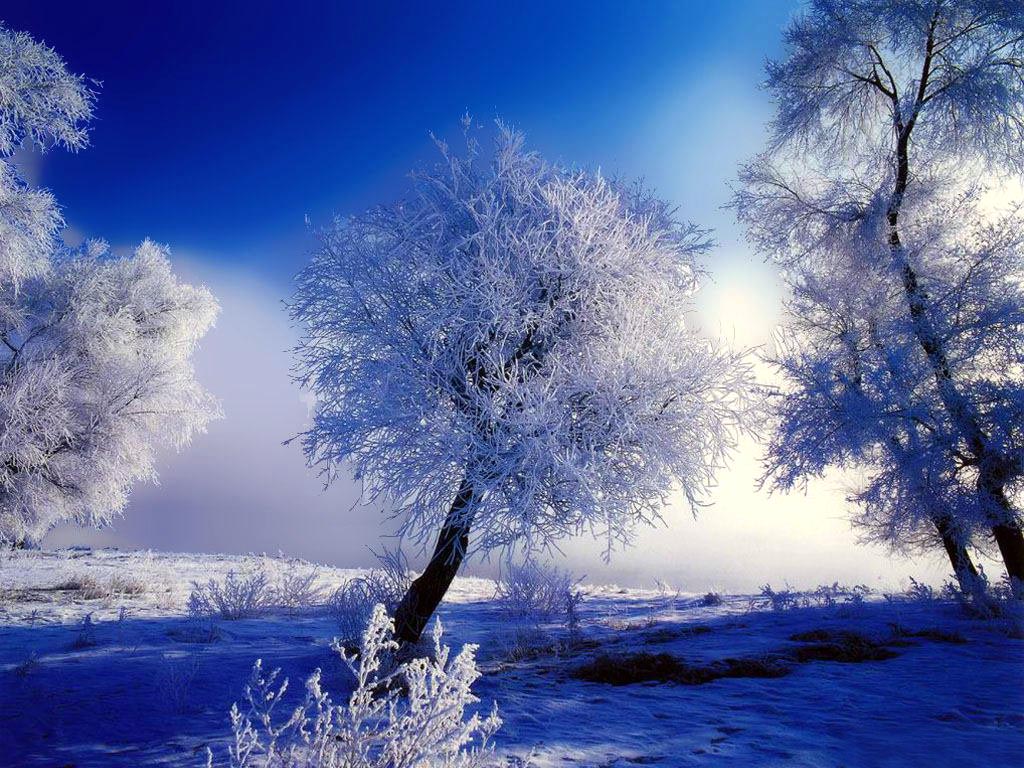 winter backgrounds