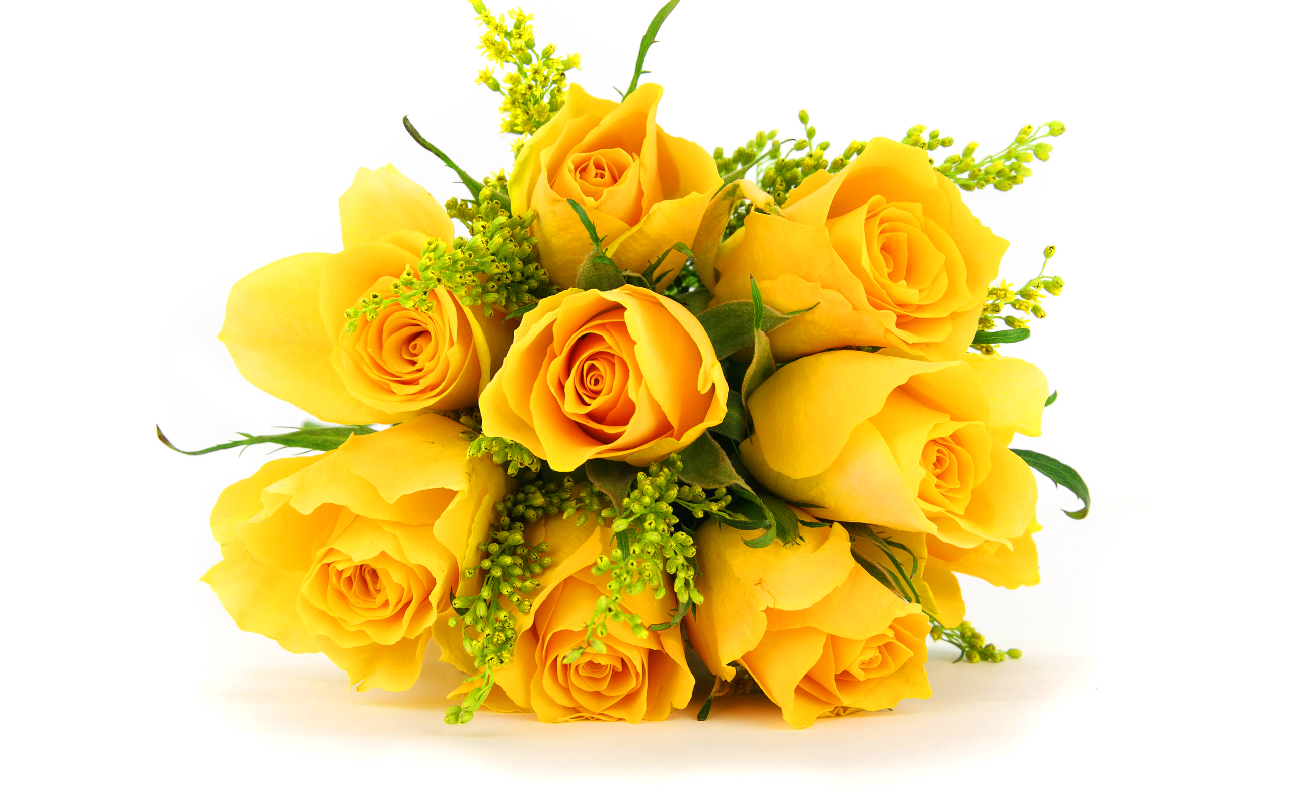 yellow roses beautiful