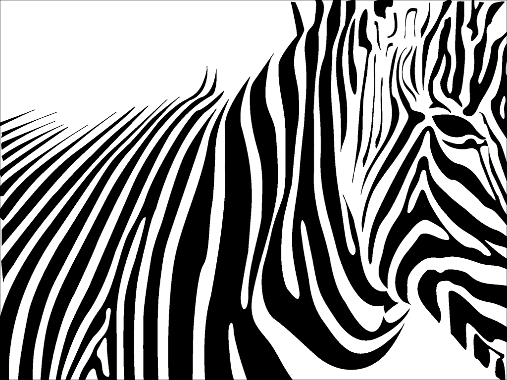 zebra wallpaper hd - HD Desktop Wallpapers | 4k HD