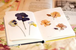 notebook notepad flowers herbarium