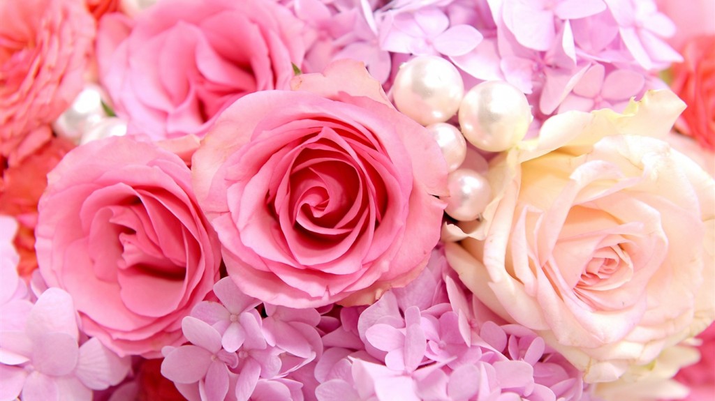 pink and white roses wallpaper