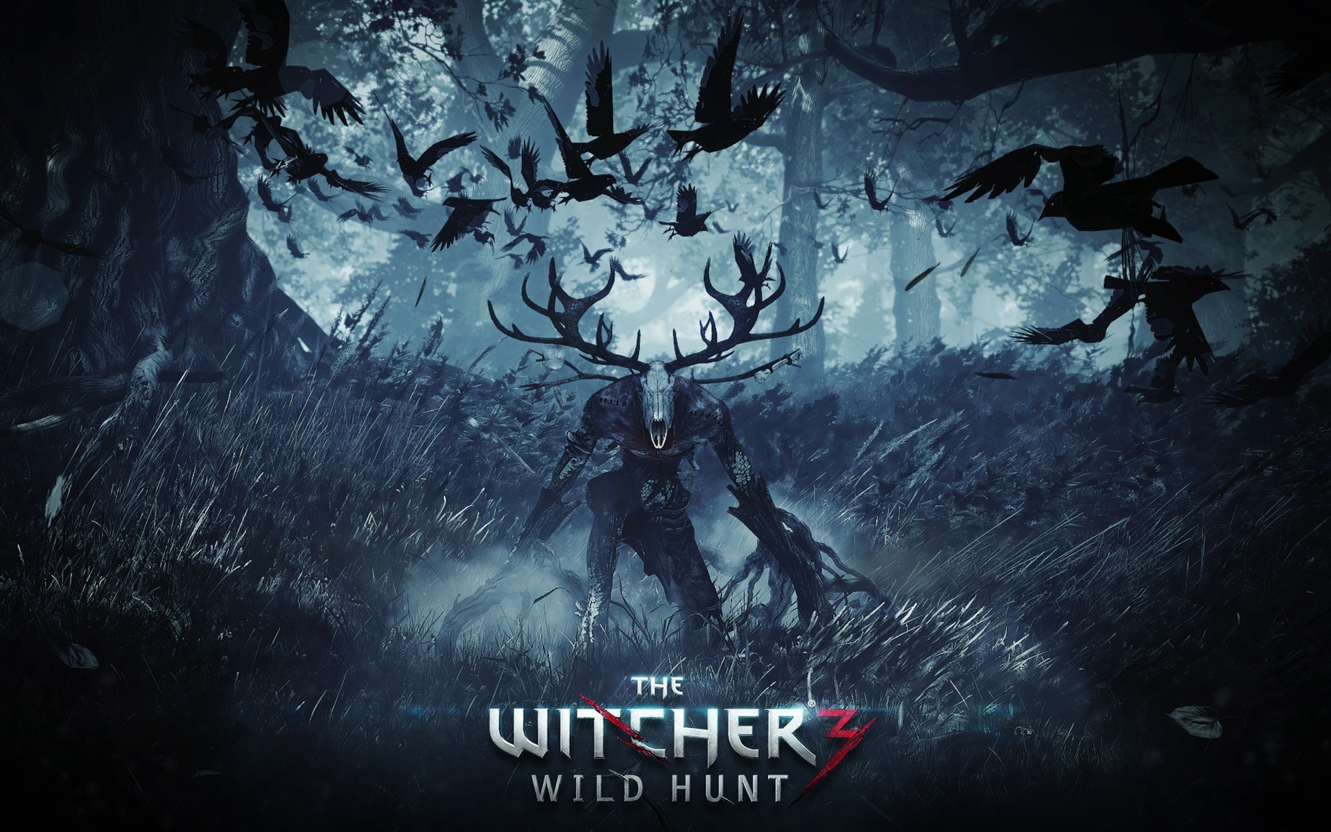 witcher 3 game