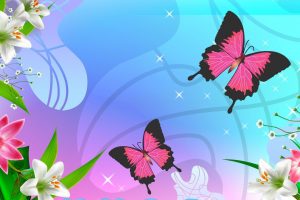 butterfly wallpapers hd 4k (34)