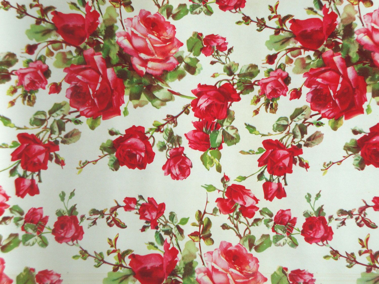 flower wallpaper hd 4k (37)