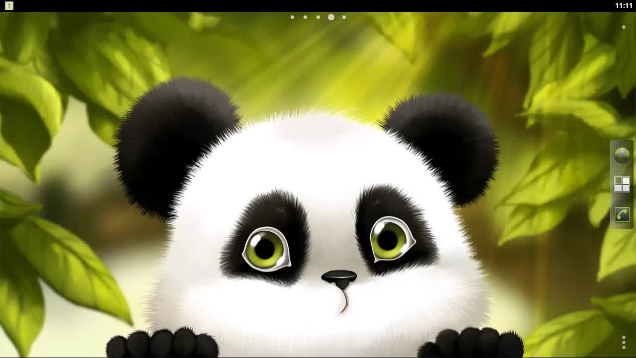 panda wallpaper hd 4k 33