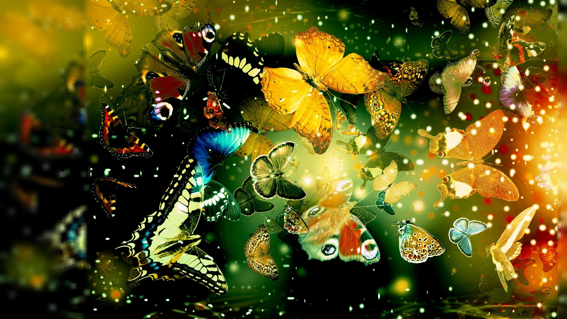 3d butterfly wallpaper