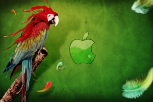 Apple Logo Wallpapers HD parrot