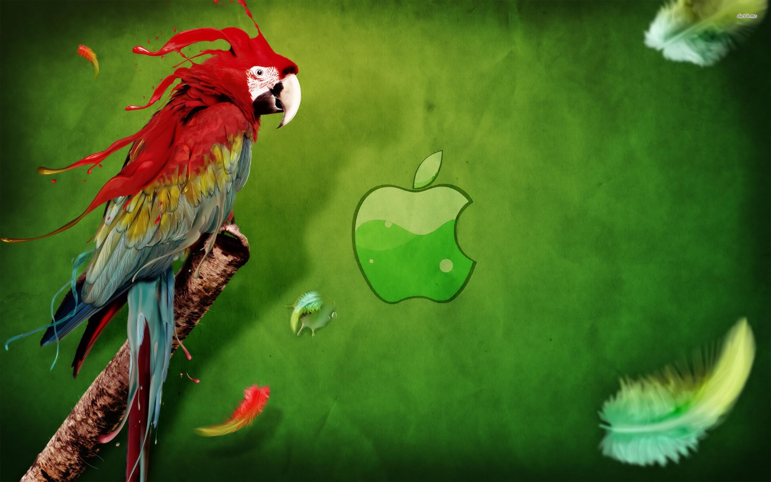 Apple Logo Wallpapers HD parrot