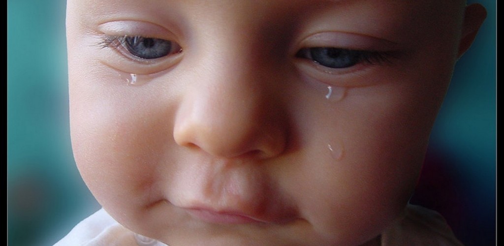 Baby tears Wallpapers - HD Desktop Wallpapers | 4k HD