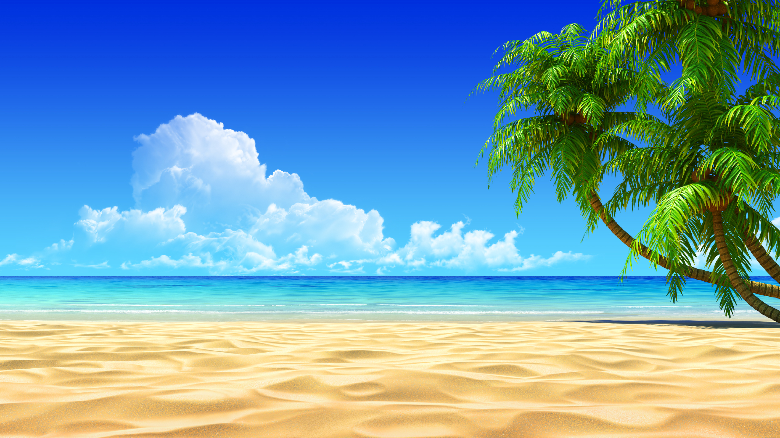 Beach Wallpapers  mobile