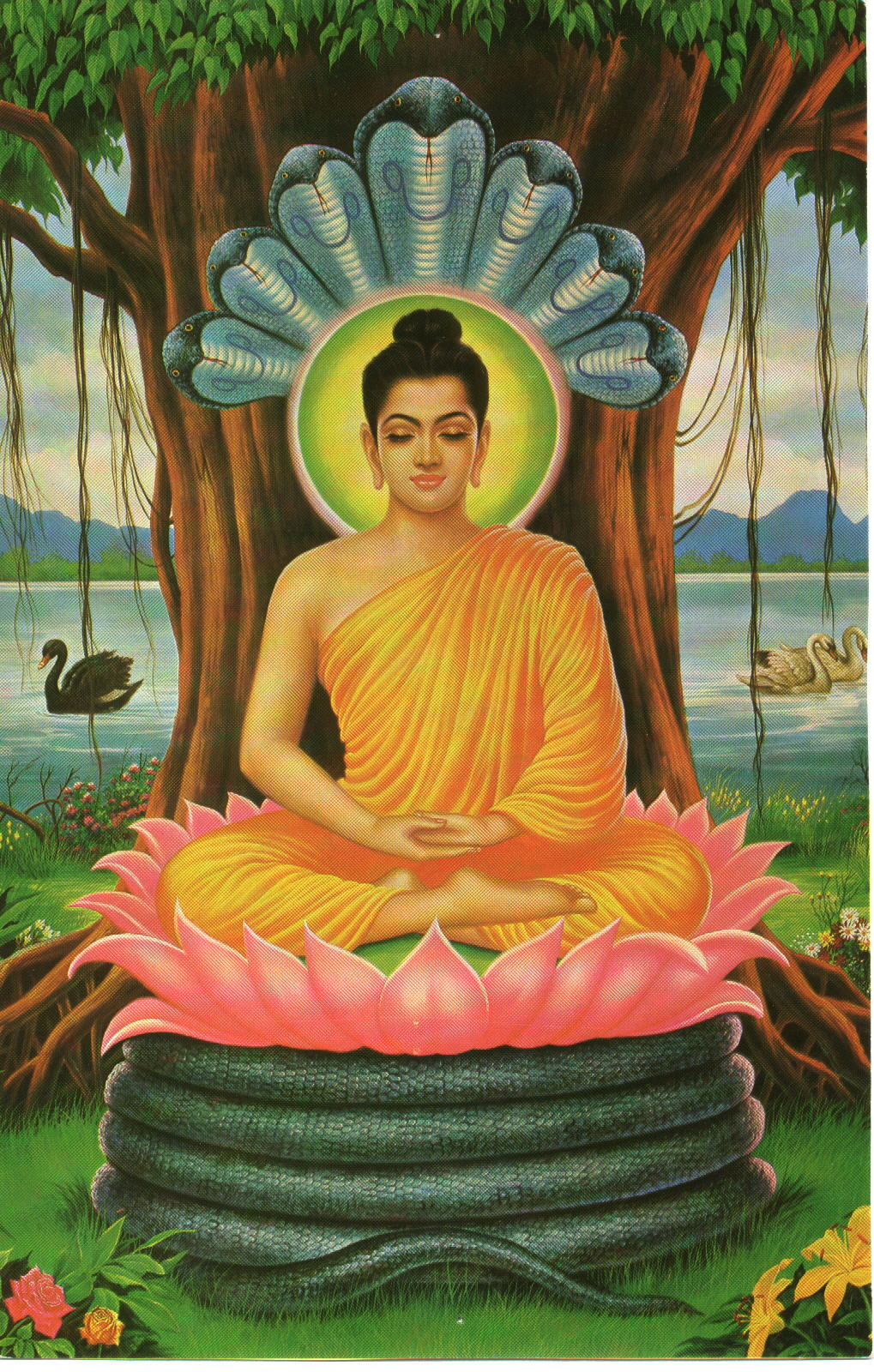 Buddha Wallpaper Images A20