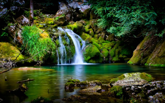 Forest Wallpapers HD waterfalls