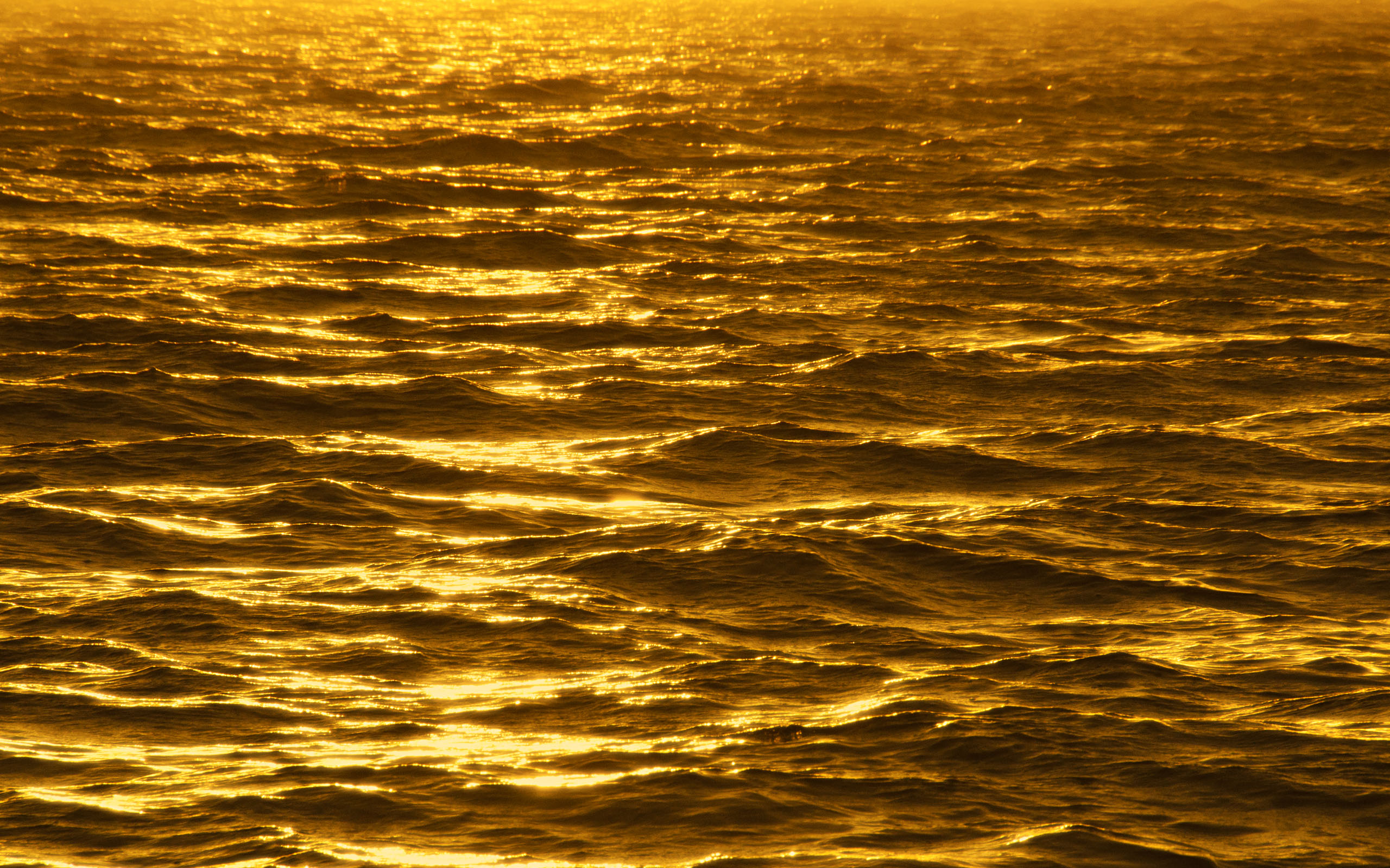 Gold Wallpapers ocean