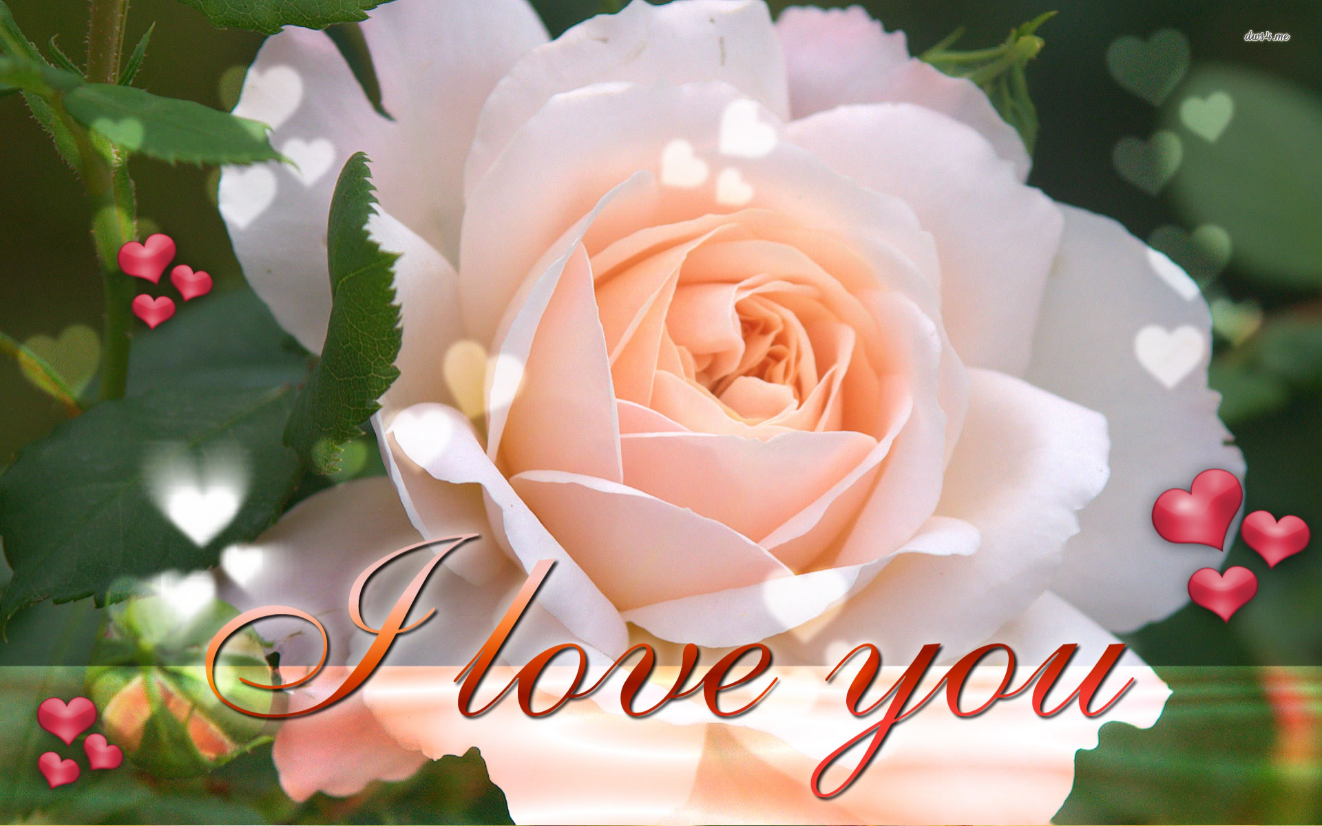 I Love You Wallpapers HD A4