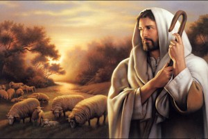 Jesus Wallpapers Images HD sheeps