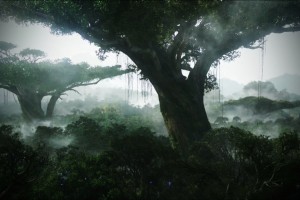 Jungle Wallpapers HD avatar