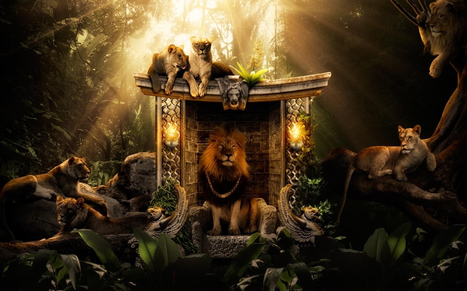 Jungle Wallpapers HD lion king