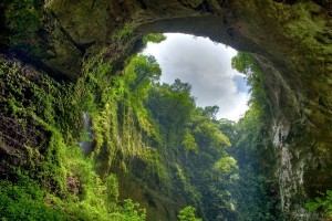 Jungle Wallpapers nature cave