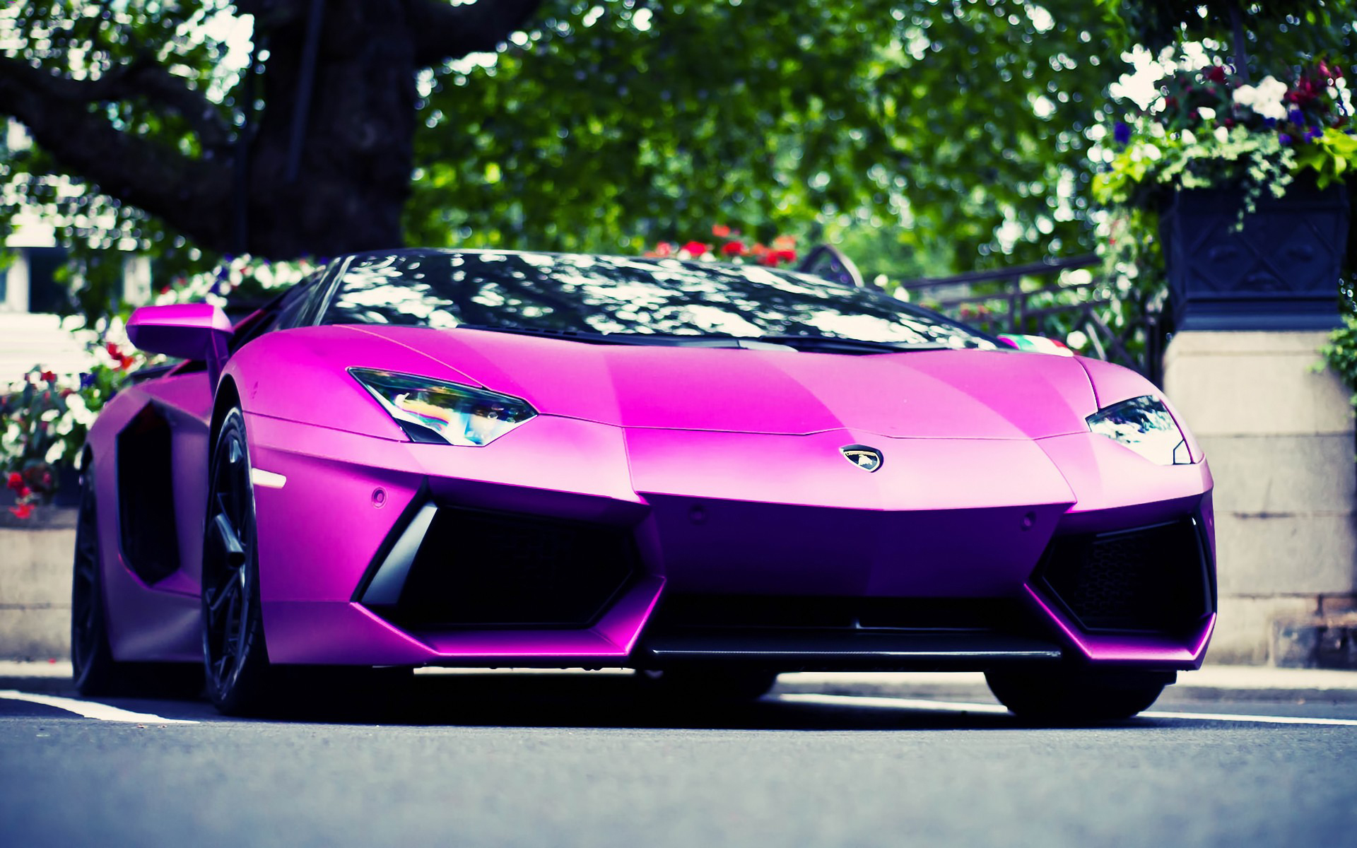 Lamborghini Aventador Wallpapers HD A50 Pink - lamborghini aventador desktop sports cars, race cars, luxury cars, expensive cars, wallpapers pictures images free download