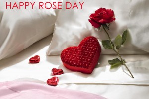 Red Roses Wallpapers HD A39 rose day