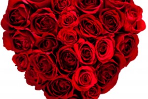 Red Roses Wallpapers HD A39 heart shape
