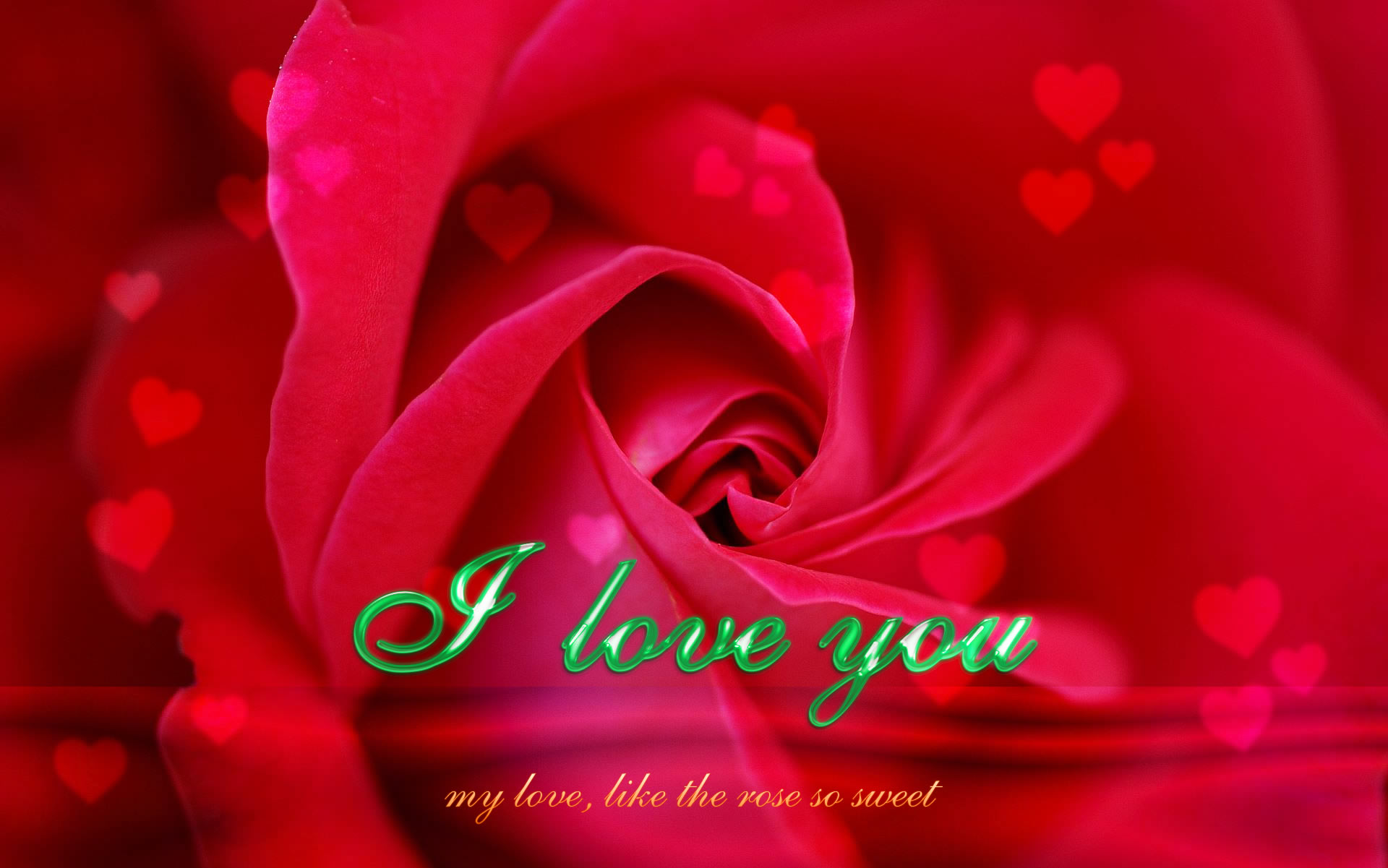 Red Roses Wallpapers HD A39 i love you