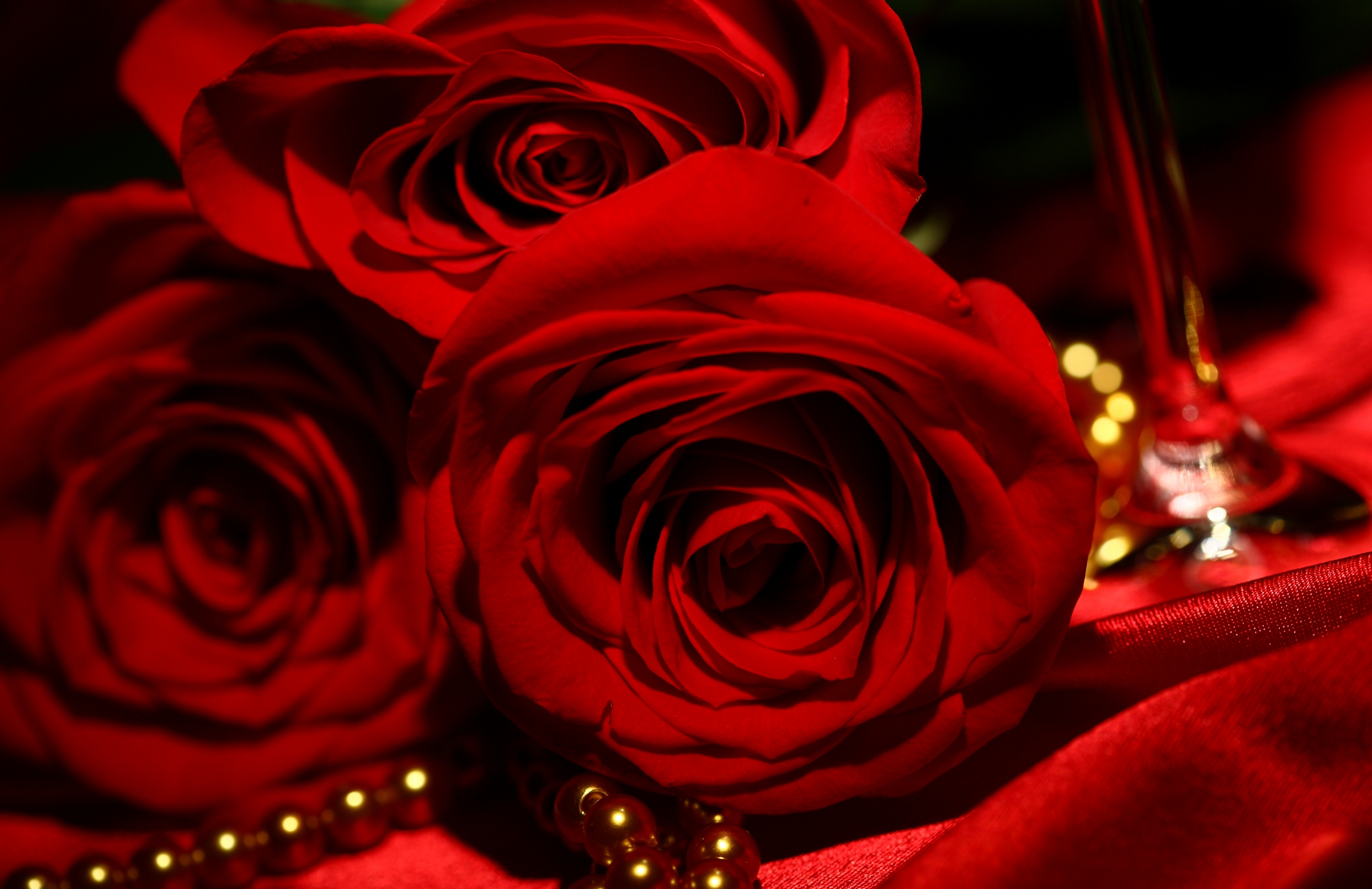Red Roses Wallpapers HD A33