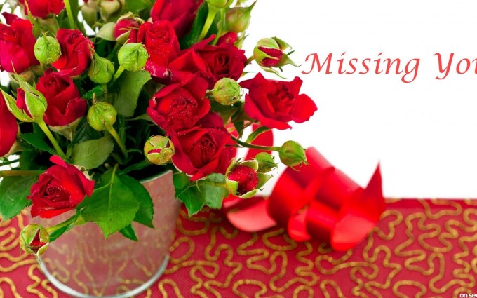 Red Roses Wallpapers HD A39 missing you