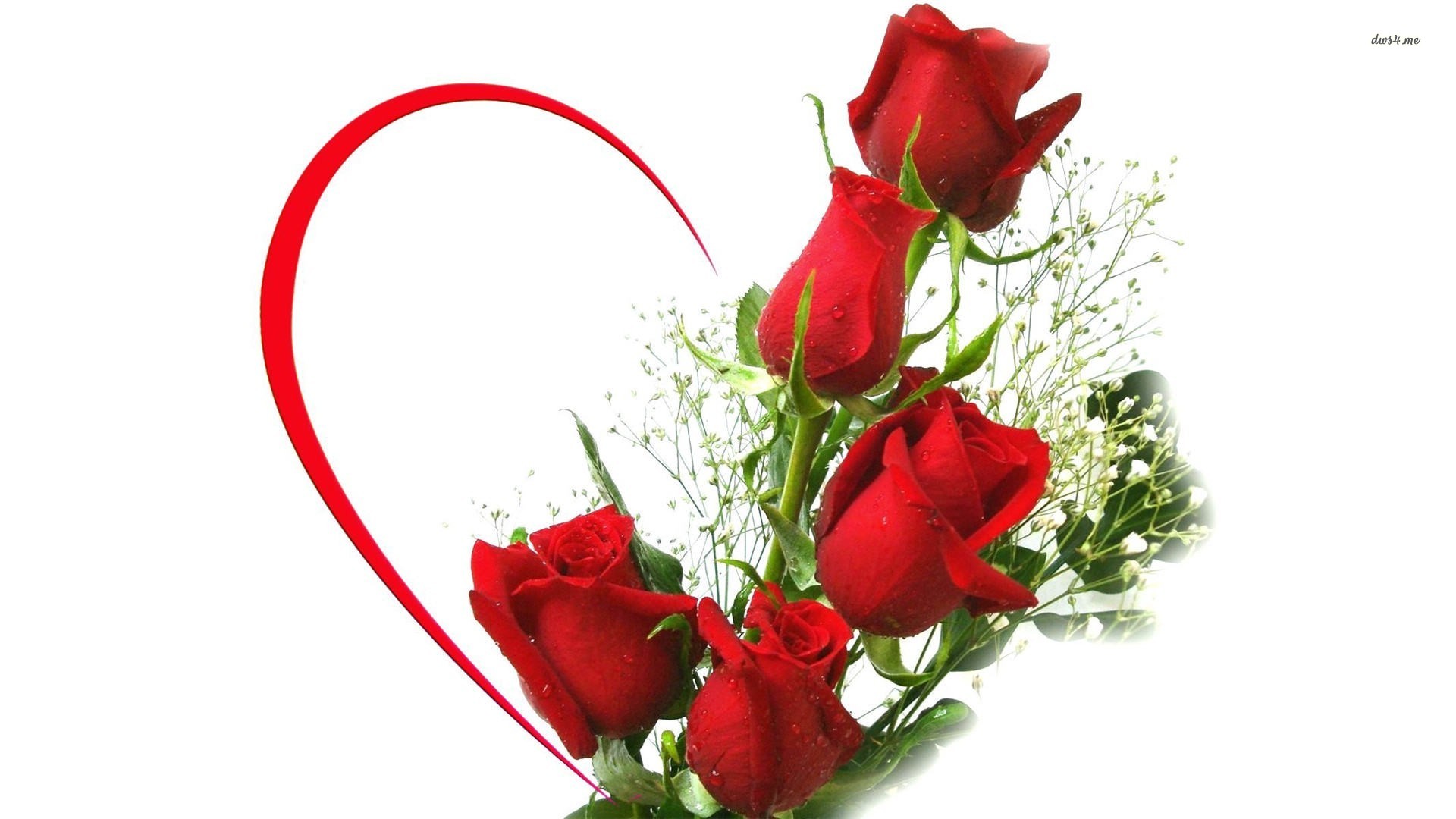 Red Roses Wallpapers HD A39 heart 2