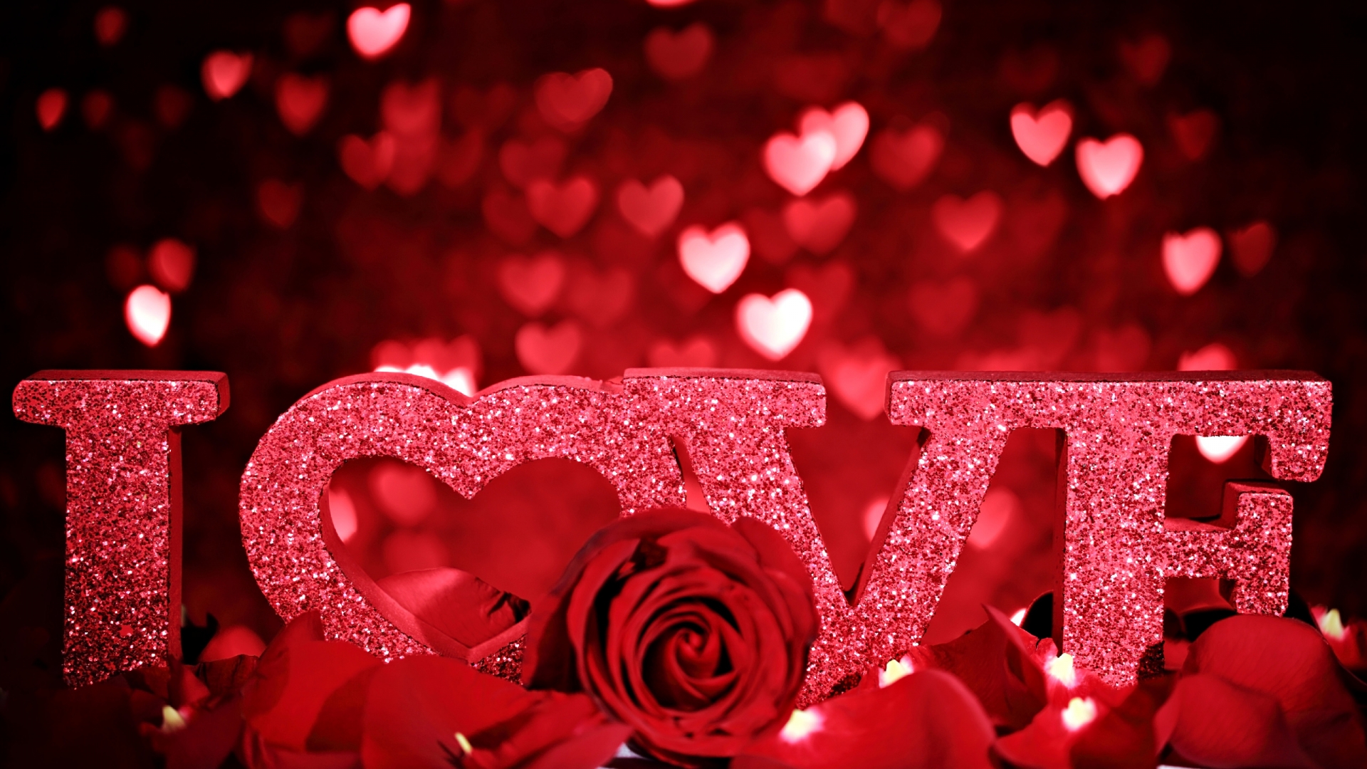 Red Roses Wallpapers HD A39 love roses