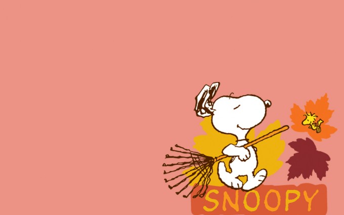 Snoopy Wallpapers HD cleaning